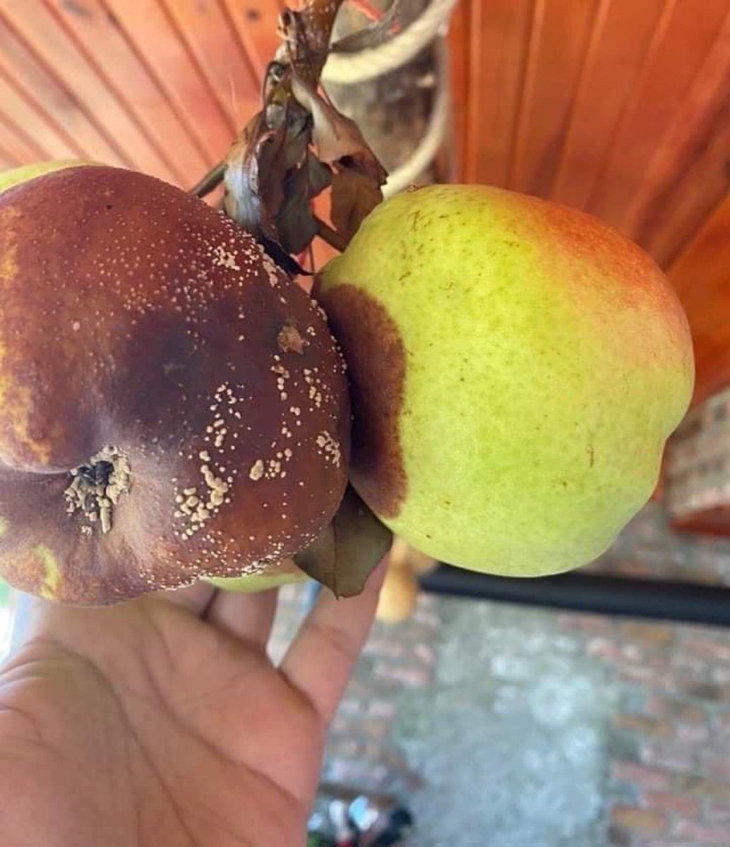 İyi olmak yetmez, kötüden de uzak durmak gerek