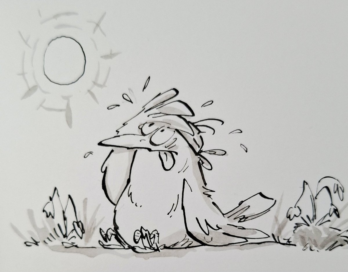 another hot day coming up where I live... don't forget about those with feathers..