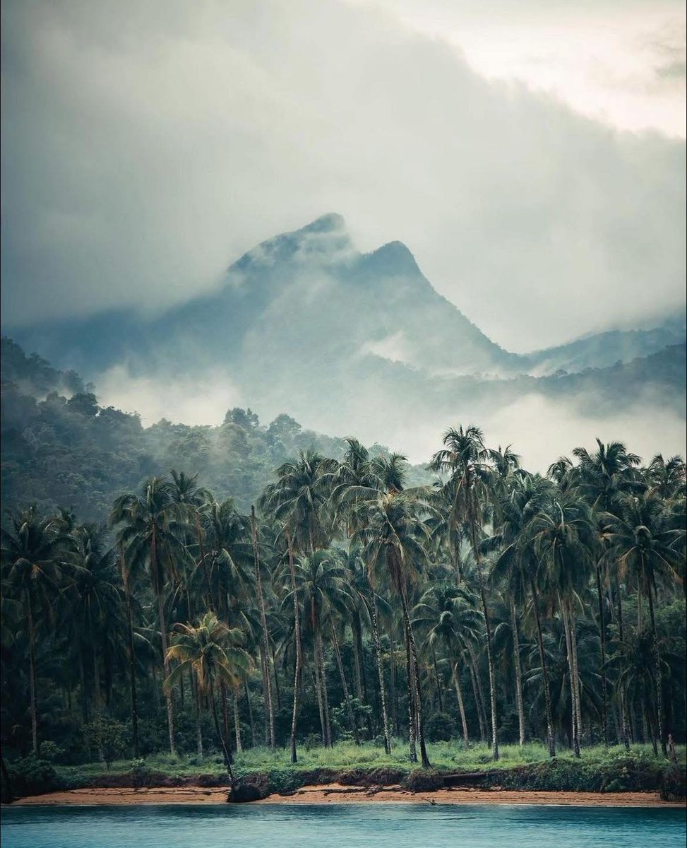 Koh Man Nai, Trat, Thailand 📷🌴

📷 IG: florisgone