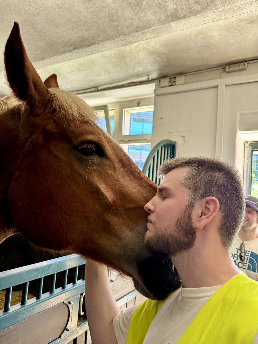 horses have mad aura 
change my mind