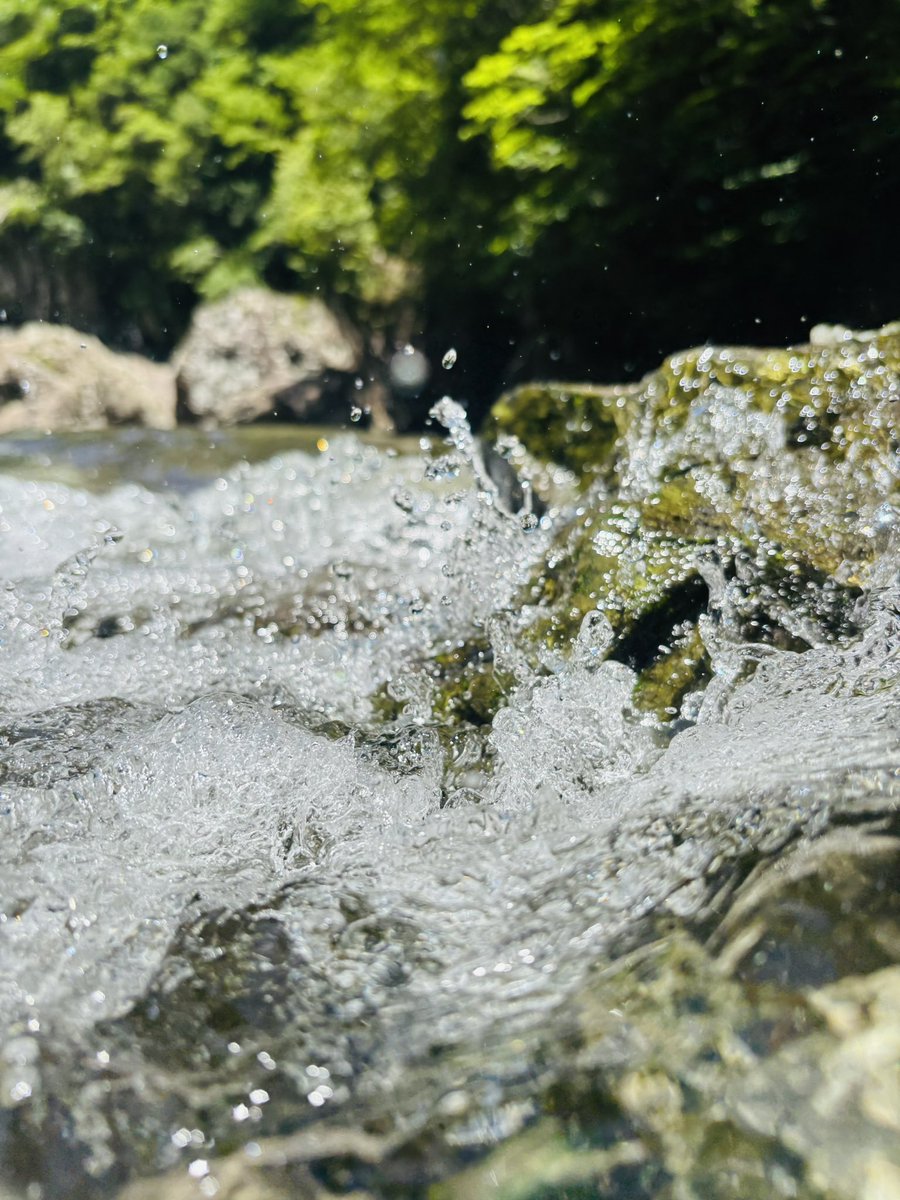 Ut74SDcPm725252's tweet image. あつ~い♨️
水遊び ٩(ˊᗜˋ*)و✨️
天然の川の水は冷た過ぎた💦
ひと口しか食べてない🍙を
鷹??に奪われてびっくり🐥⸒⸒
お腹いっぱいになってくれたかな?ꉂ🤭
皆さん♡♡
お久しぶりです𓂃𓂂ꕤ*.゚
#みたらい渓谷
#私の大切な宝者へ
#写真で伝えたい私の世界
#iPhone越しの私の世界
