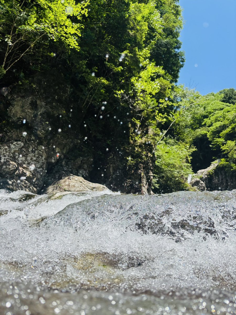 Ut74SDcPm725252's tweet image. あつ~い♨️
水遊び ٩(ˊᗜˋ*)و✨️
天然の川の水は冷た過ぎた💦
ひと口しか食べてない🍙を
鷹??に奪われてびっくり🐥⸒⸒
お腹いっぱいになってくれたかな?ꉂ🤭
皆さん♡♡
お久しぶりです𓂃𓂂ꕤ*.゚
#みたらい渓谷
#私の大切な宝者へ
#写真で伝えたい私の世界
#iPhone越しの私の世界