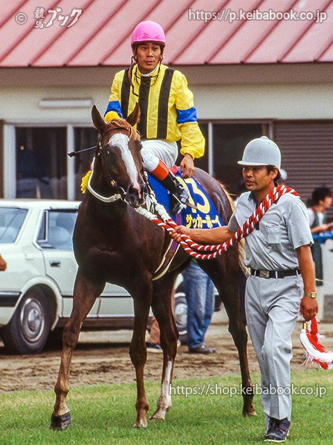 サッカーボーイ馬札幌皿