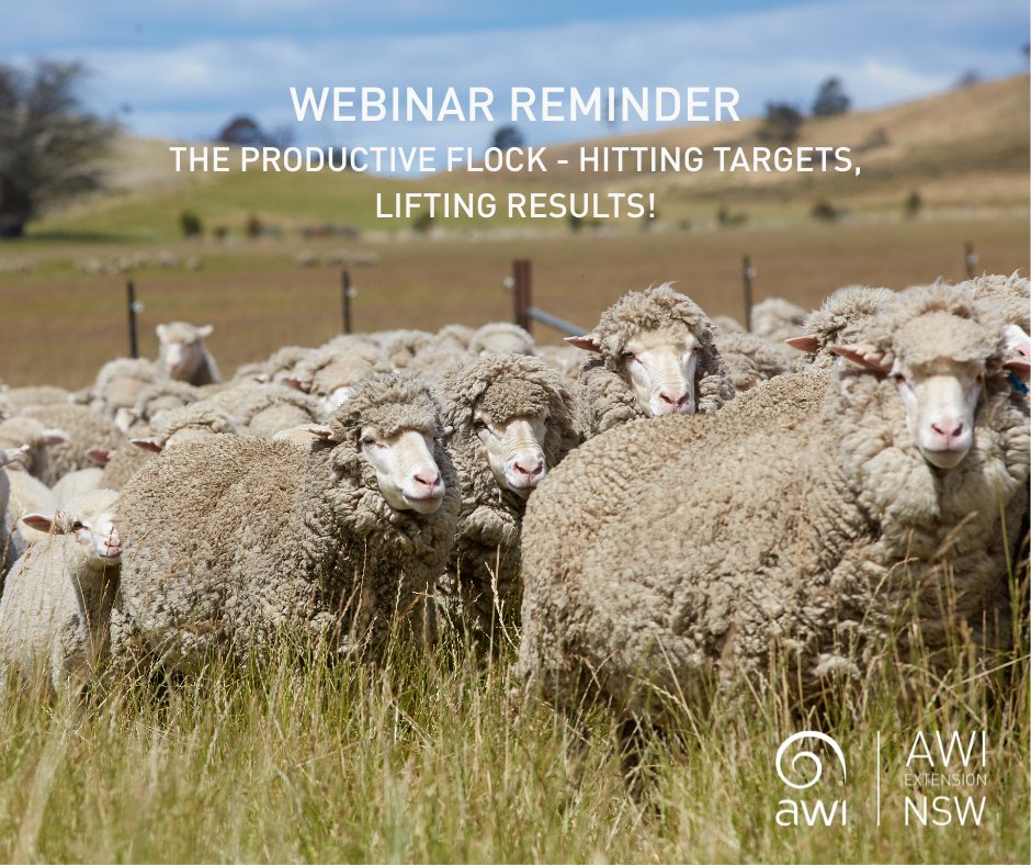 📢 Don't forget to register for next week's webinar
The productive flock - hitting targets, lifting results 🐑

We're excited to have Jim Meckiff  join us to discuss how to build resilience in your flock. Discover how to utilise tools such as condition score, identify