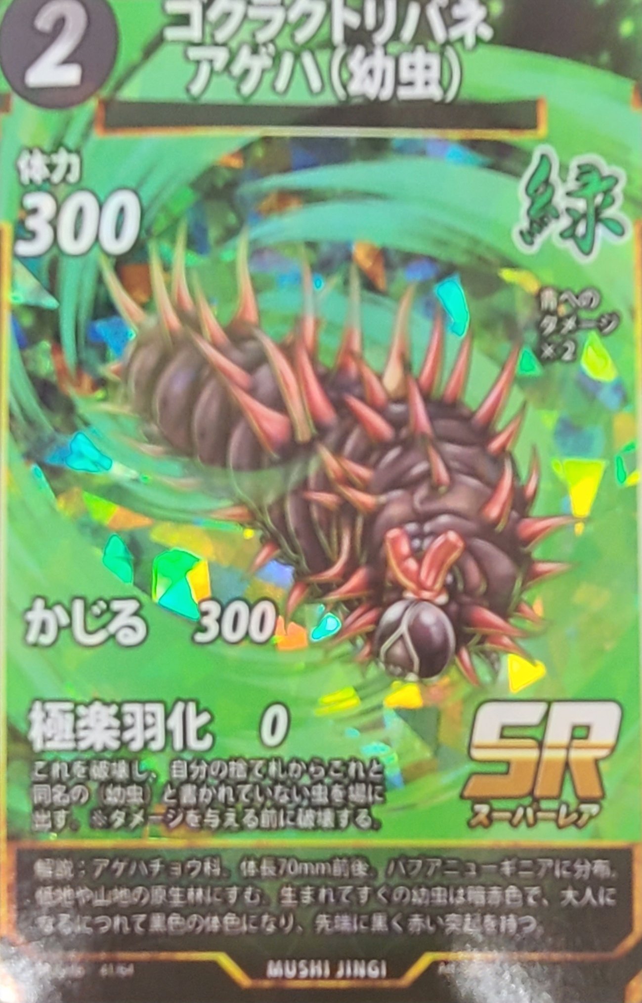 蟲神器 SR カード 約555枚 大量 第1弾～第6弾 ゴクラクトリバネアゲハ 蟲神器 SR カード 約555枚 大量 第1弾～第6弾 ゴクラク