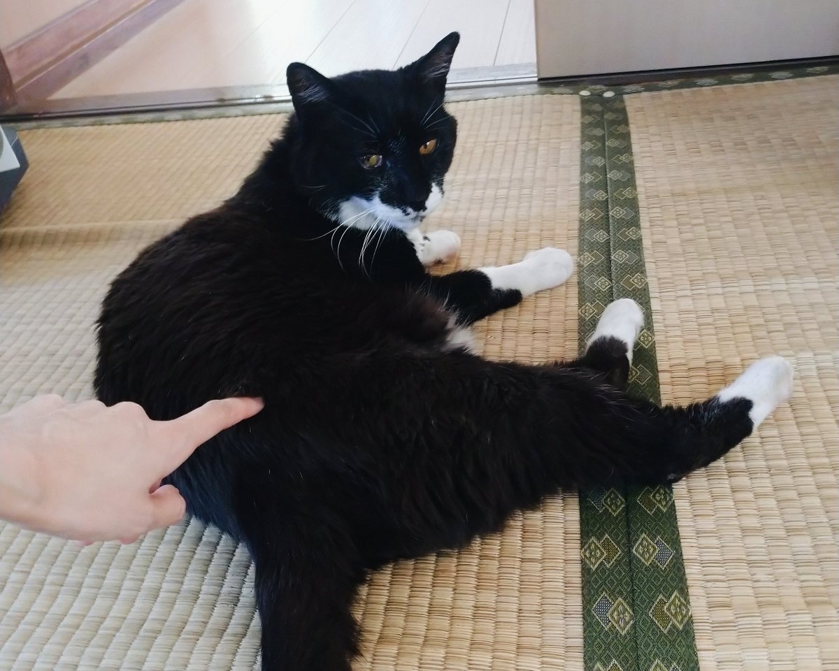 ケツに近い背中はデリケート