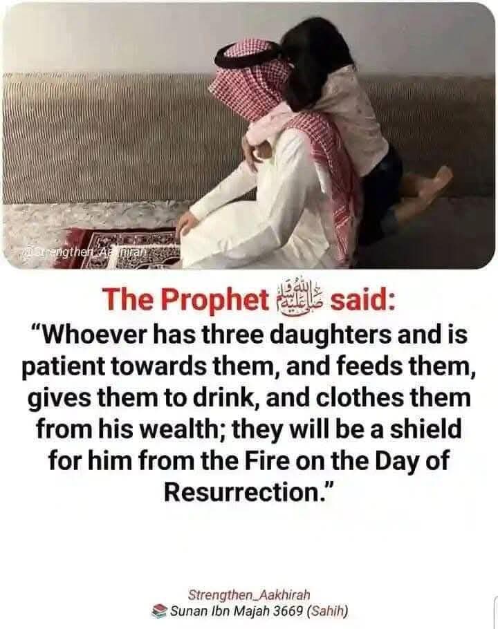 預言者はこう言いました。「3人の娘を持ち、彼女たちに忍耐強く接し、彼女たちに食事を与え、飲み物を与え、自分の財産から衣服を与える者は、復活の日に火からの盾となるであろう。」....

#ポムポムプリン

#設営完了

#UFC317