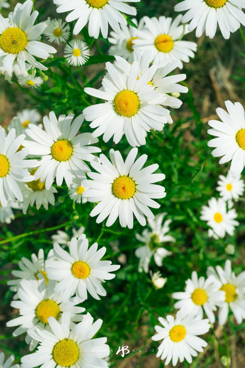 트친호🐯
- 29살 대전사는 호랭입니다.
- 사진 찍는 거 좋아해서 만나면 찍어요.
- 술보단 술 자리를 좋아하는 편이에요.
- 여행 다니는 것도 좋아합니다.
- 귀여운 앤이랑 함께 하고 있어요.🥰
- 게시물 없는 계정이면 곤란해요.

잘 부탁드리겠습니다:) 🐯