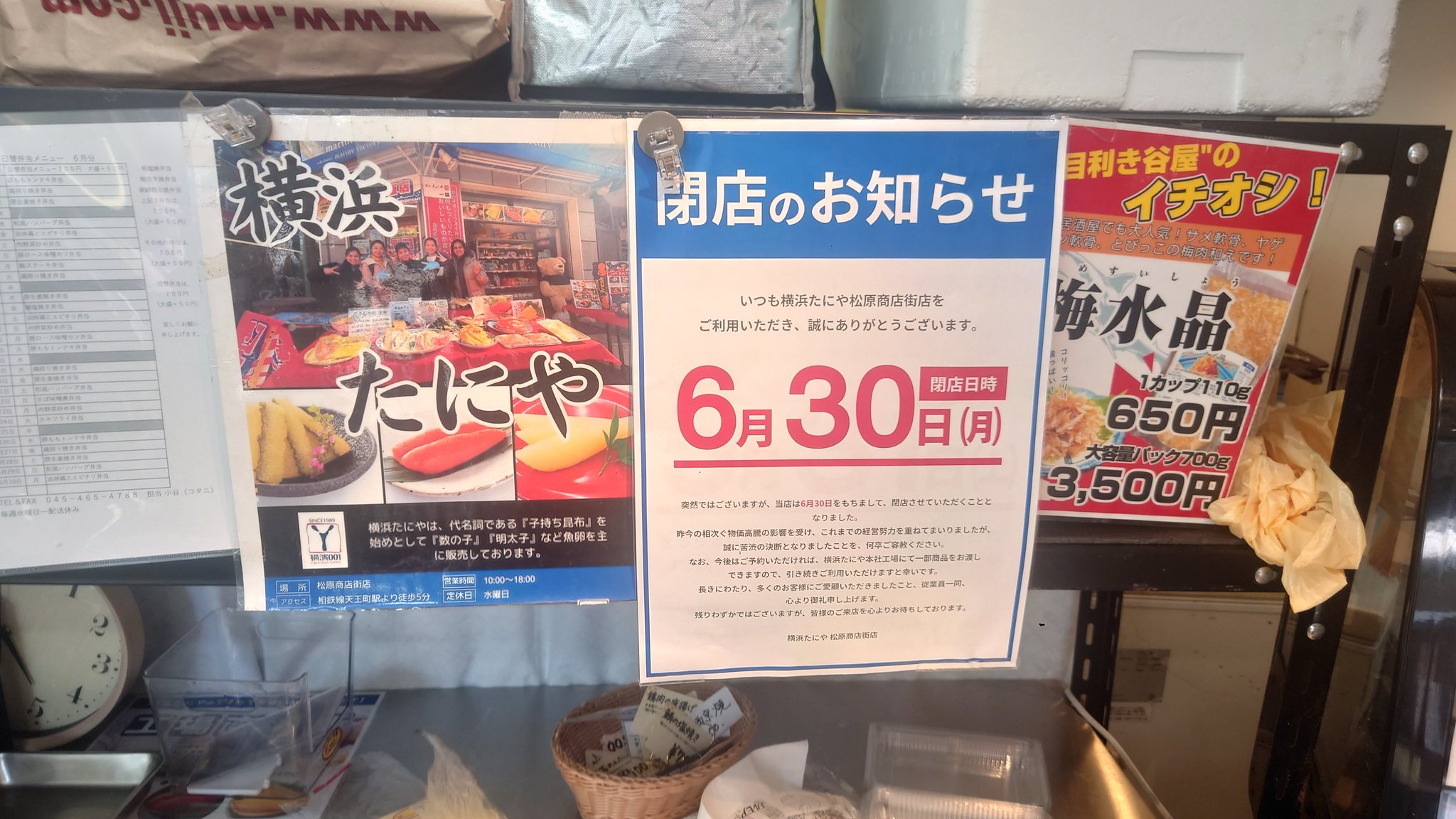 【はこぽす対応商品】 SHOH1 a.k.a ST11 on X:  弦楽器