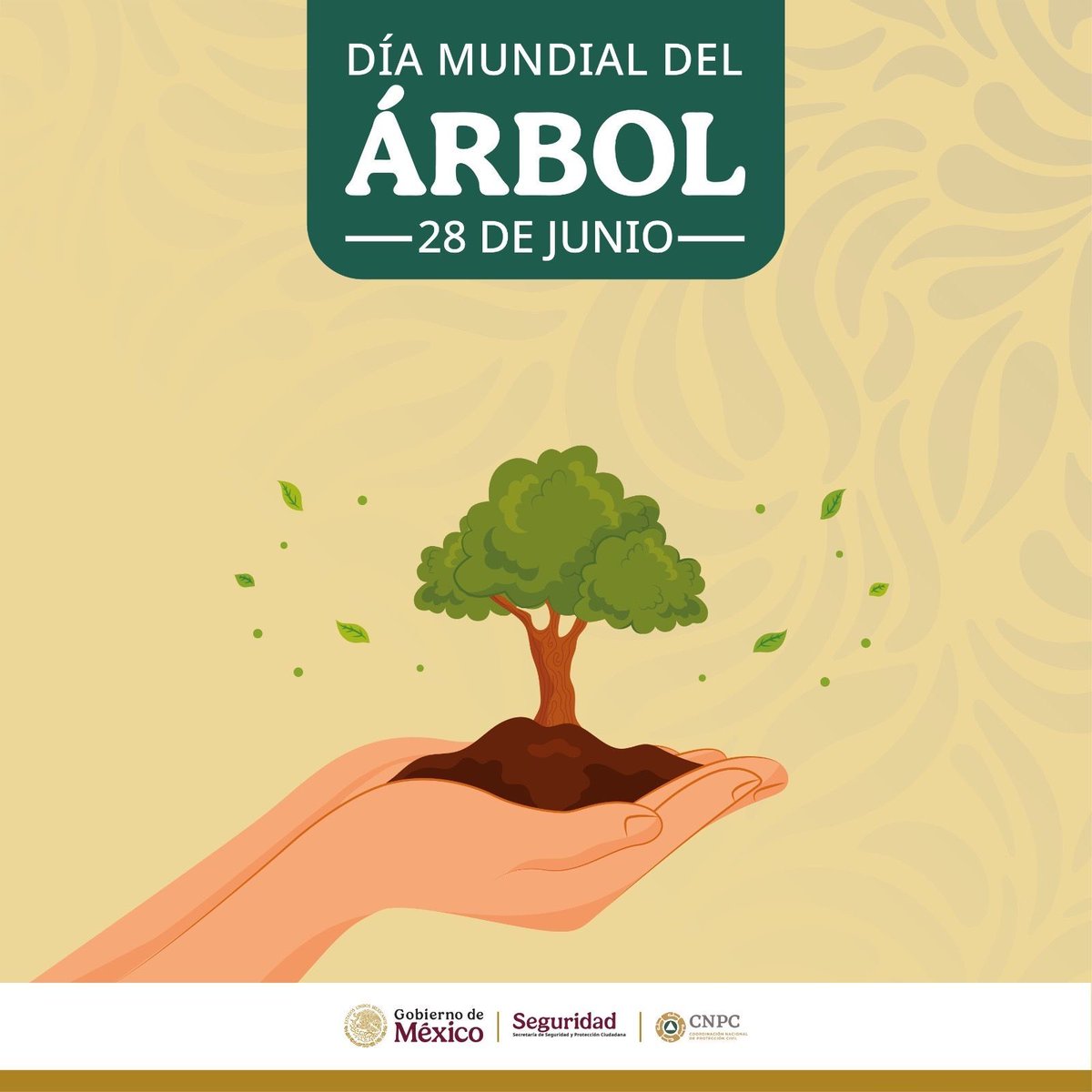 Hoy en el #DíaMundialDelÁrbol, recordamos que plantar árboles también es una forma de protegernos:

🌳Ayudan a prevenir deslaves
🌳Reducen el riesgo de inundaciones
🌳Mejoran la calidad del aire.

Cuidarlos es parte de construir comunidades más seguras ante desastres.
