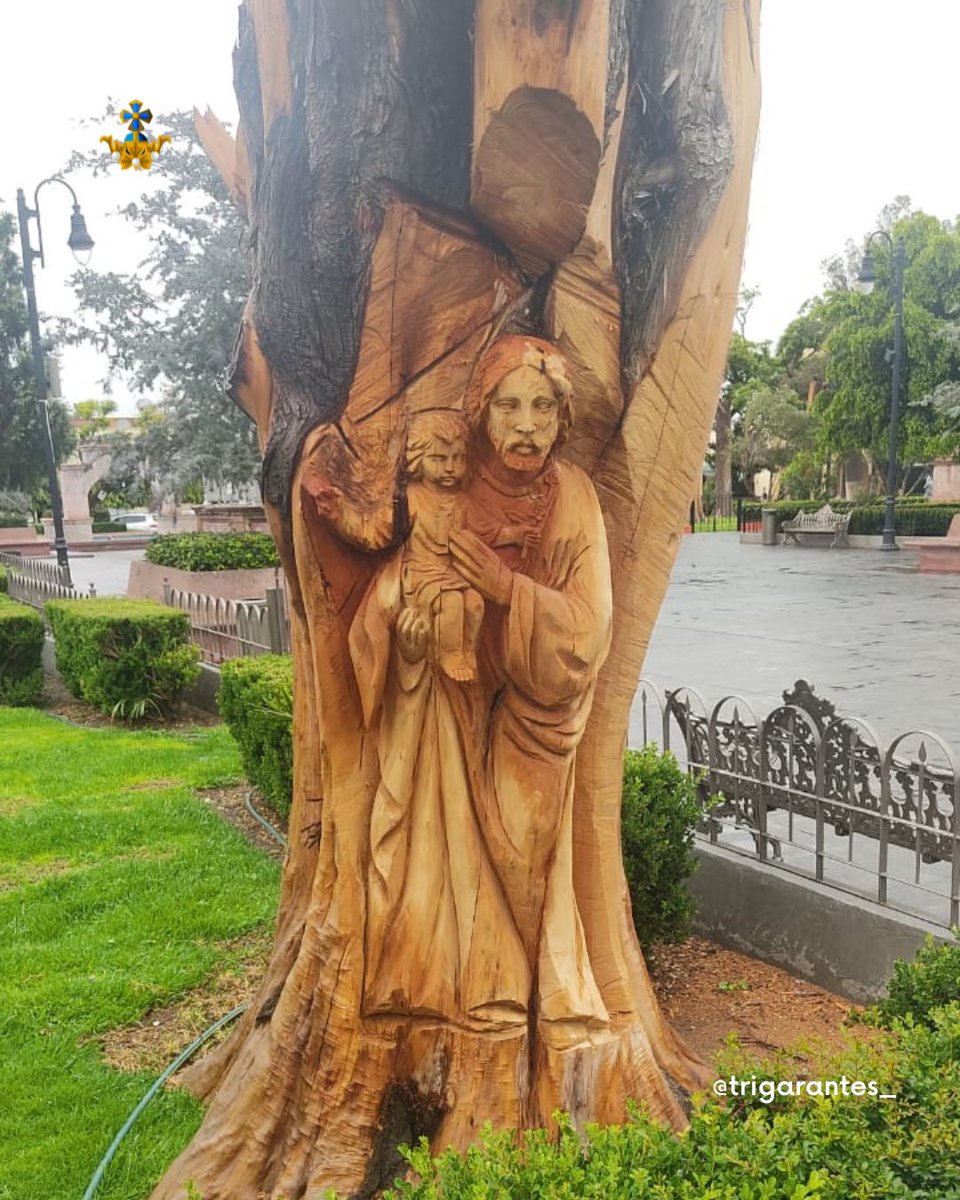 Trigarantes_'s tweet photo. 🌳🔥 De lo seco, vida. De lo olvidado, honra.

En el Jardín Principal de San José Iturbide, Gto., dos árboles murieron por plaga tras la remodelación de la administración anterior. Actualmente se aprovecharon para tallar la figura de San José y un busto de don Agustín I de México https://t.co/bVMWaIF0Fz