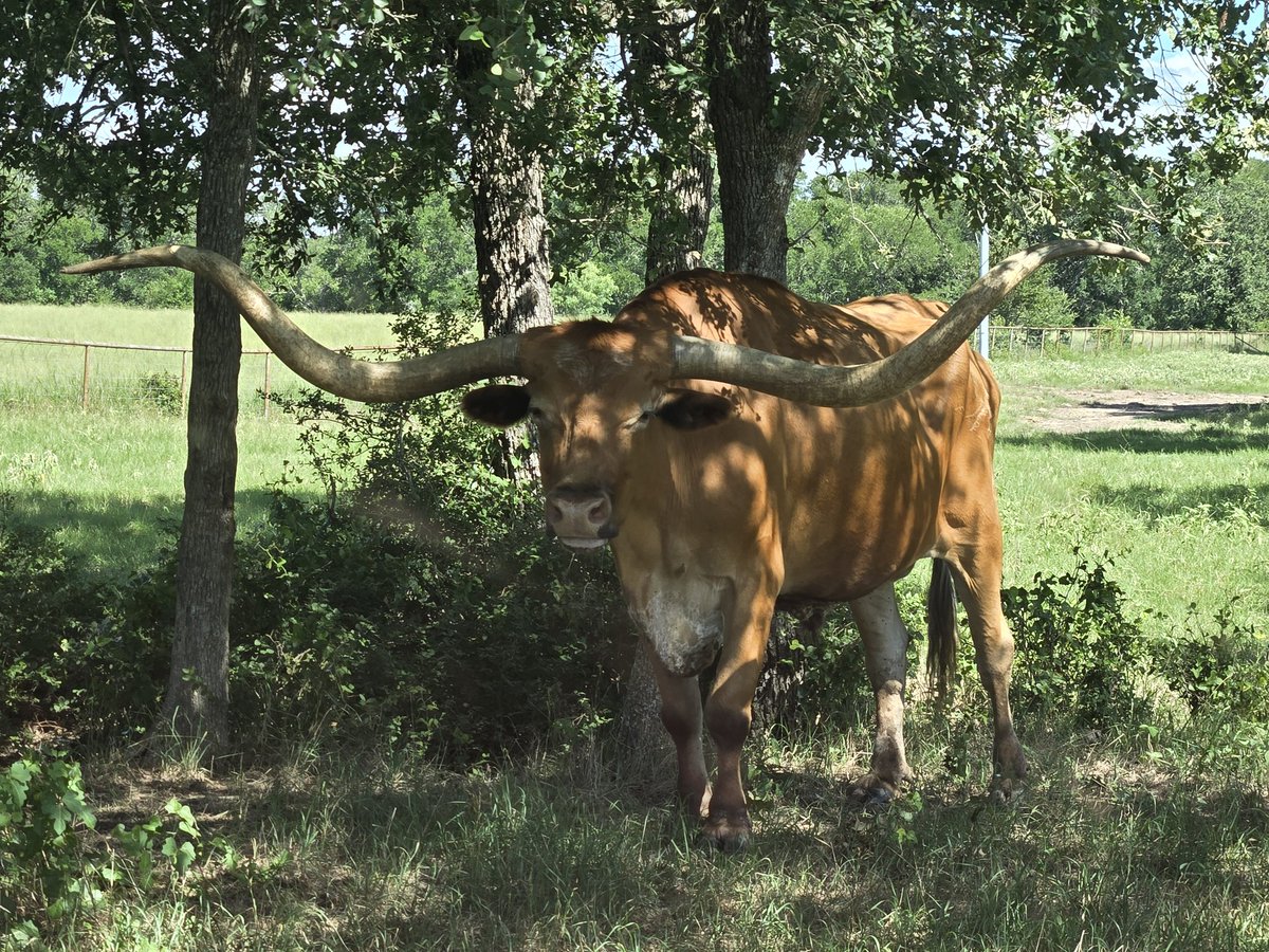 Pat Venteicher tweet media