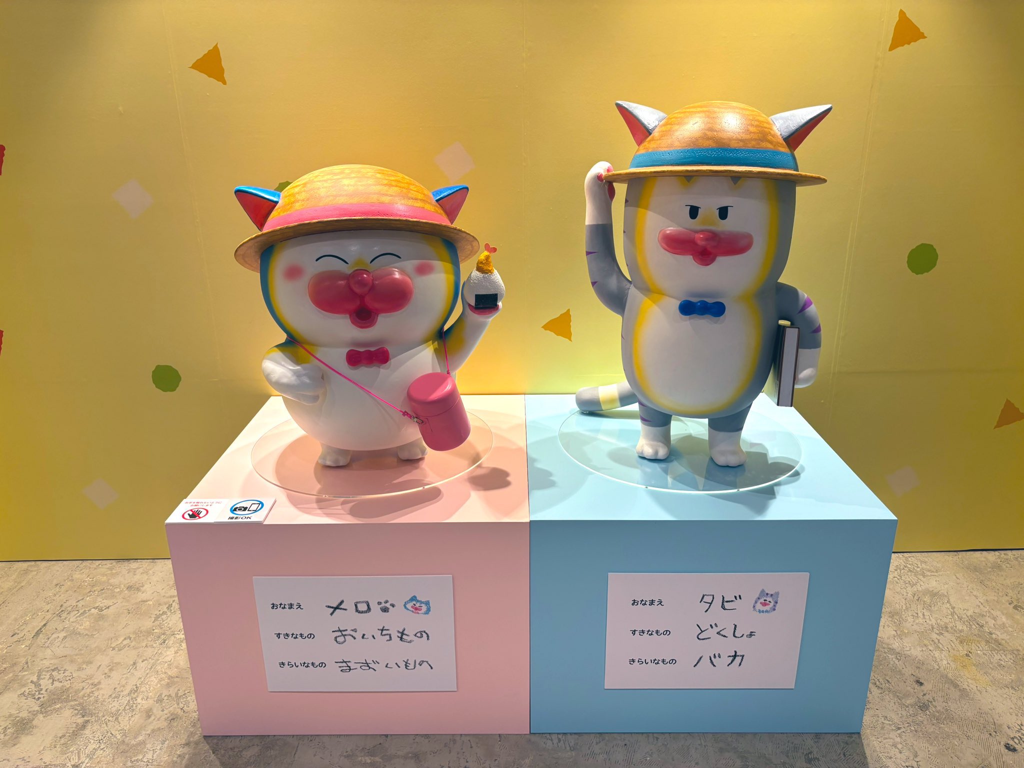 まめきちまめこ on X: 