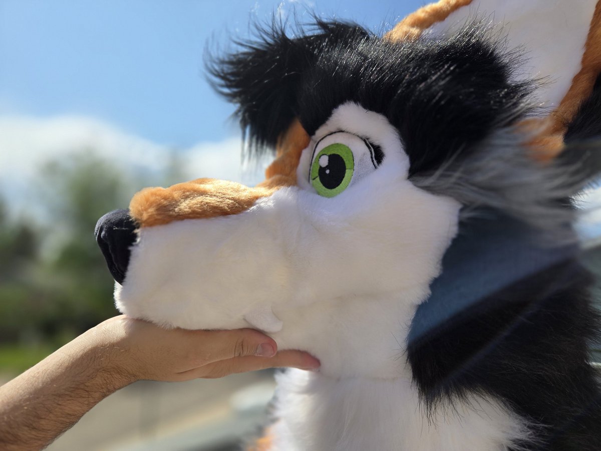 The first 6ft "Werewolf Best Friend" plush is done!!

I'll be making more of these guys this year and will be opening an online shop

Meanwhile, follow t.me/snuggletooth for more info and how you can get one of the first release plushies!