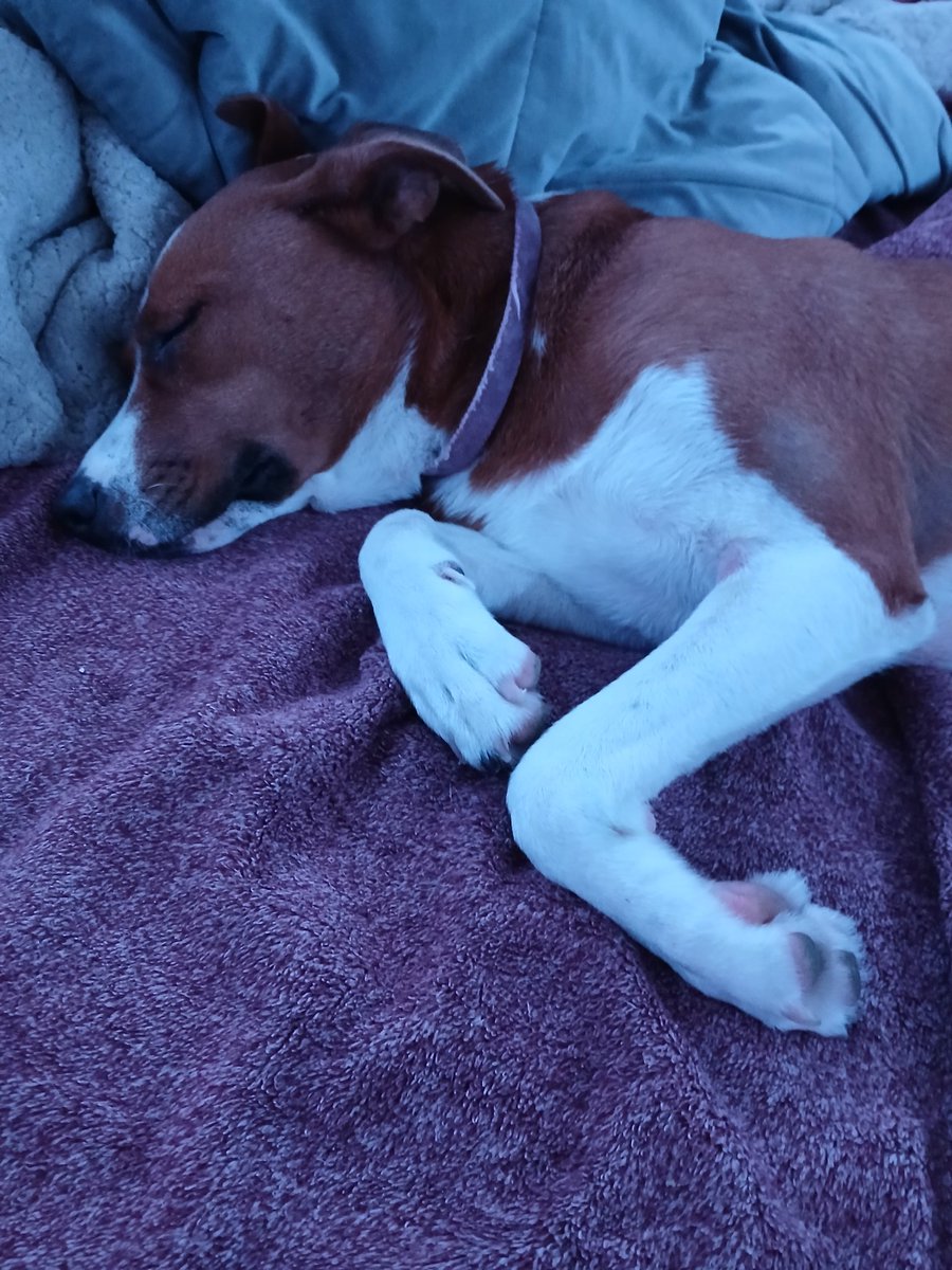 Out of all the beautiful women I have met in my life, this girl right here owns my heart 👇👇👇❤️❤️❤️