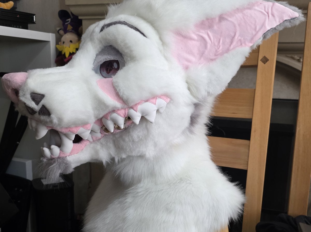 GuroBakery's tweet image. A lil' sneaky peak at the upcoming premade 💗
To do ⬇️
Head:
- Tongue
- Tidy up shave
- Airbrushing
- Eyeline/ lip line definition
- Magnetic inner padding for smaller heads
Parts:
- Hand paws
- Tail
#FursuitEveryday #fursuit