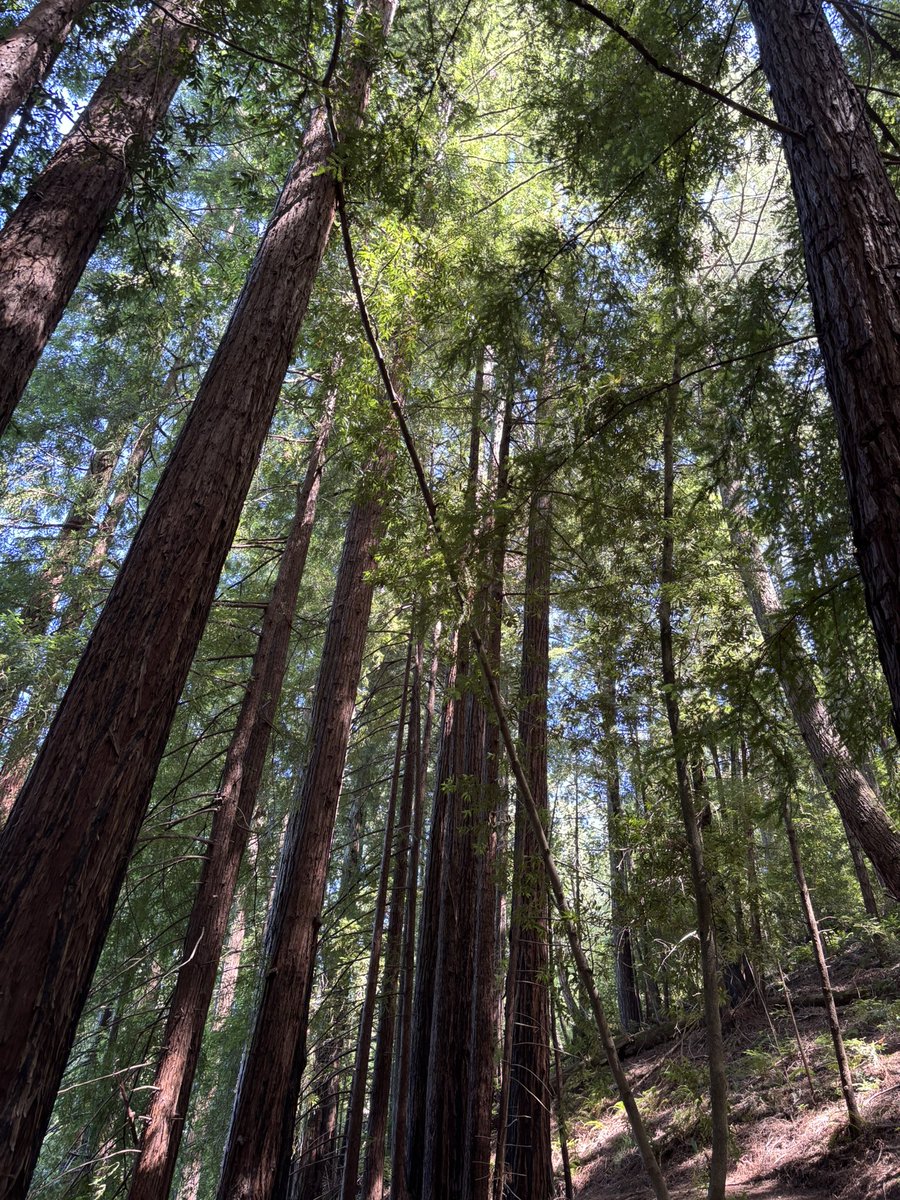 Kevindeng1201's tweet photo. Hiking https://t.co/TZgwt2LWED