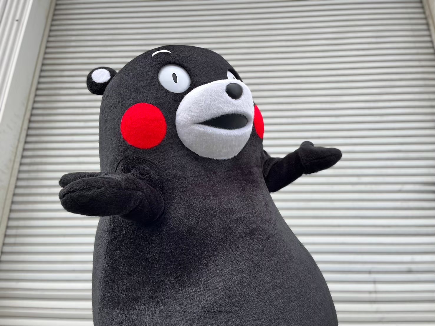 くまモン【公式】 on X: 