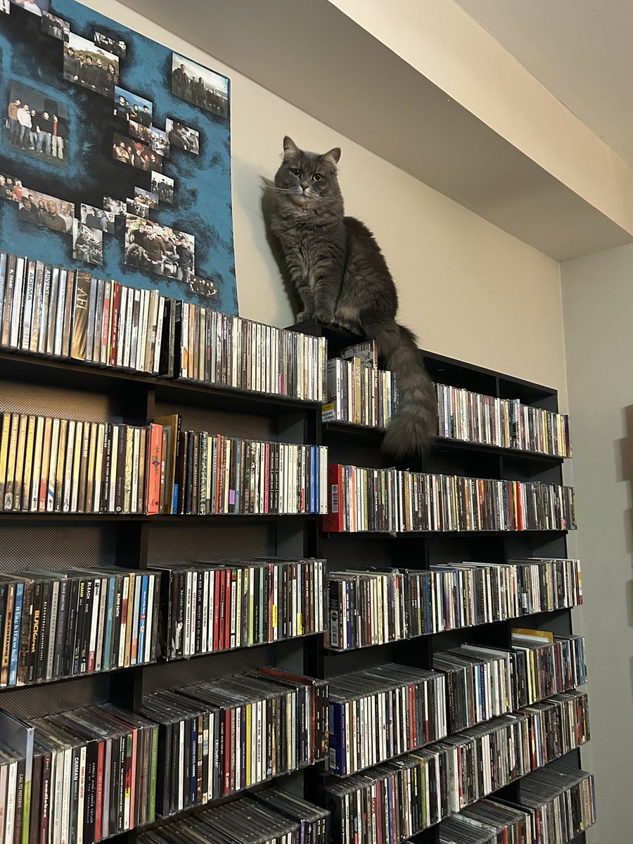 She said these are her CDs now