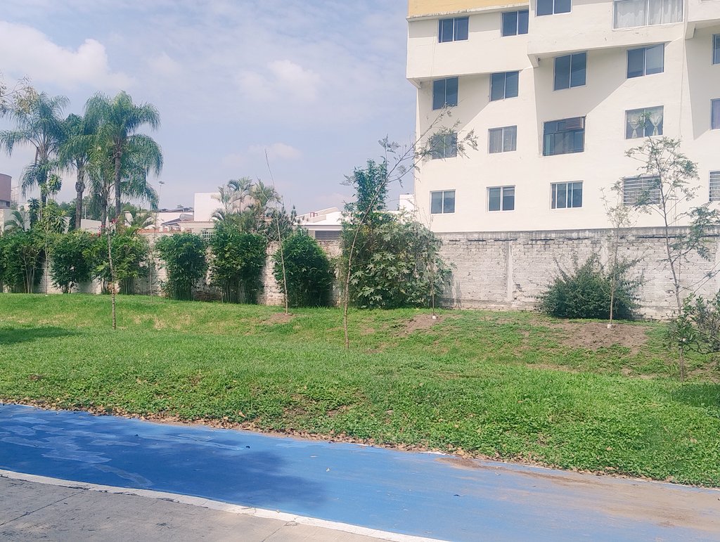 mauriciotiger's tweet photo. @AleGutierrez_mx @ExploraLeon @FeriaDeLeon @urbe_leon Mala decisión #Reforestar de lado del río #ExploraLeon, pues desgajez y afectaciones a propiedades privadas en Col. #Martinica .Para luego #Talar como hicieron en cortina de #PresaelPalote #ElPalote #León @dejame_plantado @elKafkarrabias @esquiviases @poplabmx @arnoldocuellaro https://t.co/gXA6dCHDnR