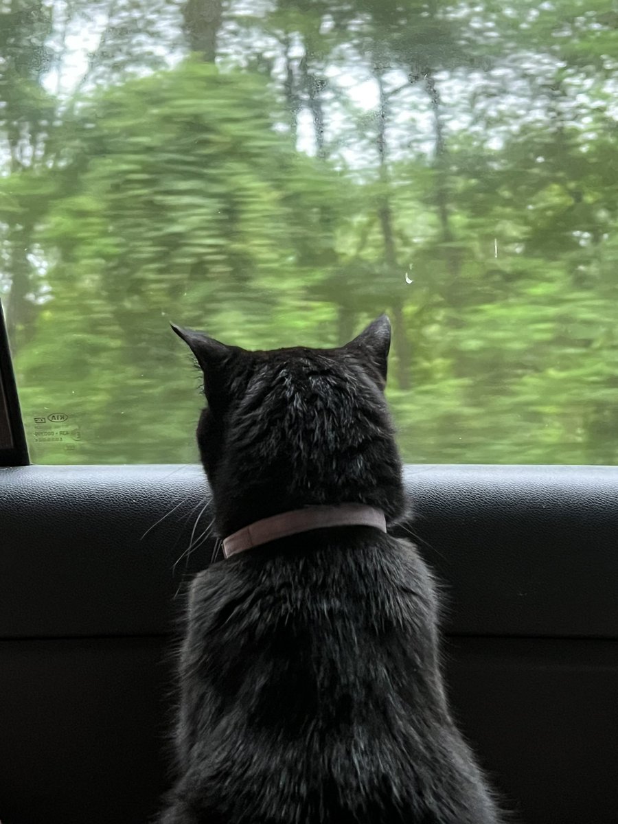 iidarya's tweet photo. It’s her first time living too 🥹 https://t.co/1UWFzP5bFp