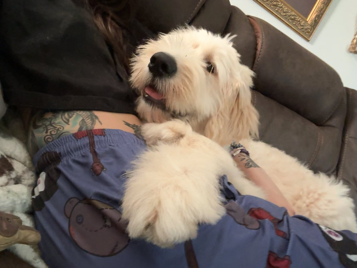 bashcraft_'s tweet image. baby girl is a giant vicious monster at almost 6 months now 🖤
my little sun god Nika, my lil warrior of liberation and symbol of freedom