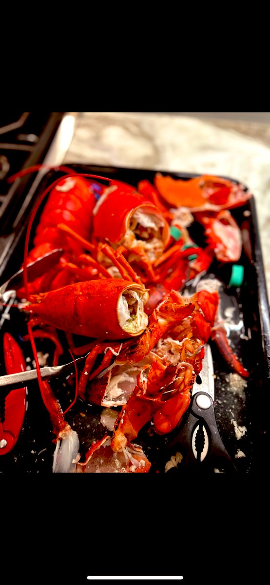 THE BUTTER DISH WON’T SPEAK OF WHAT IT SAW …. BATTLEFIELD OF EMPTY SHELLS. NO SURVIVORS!