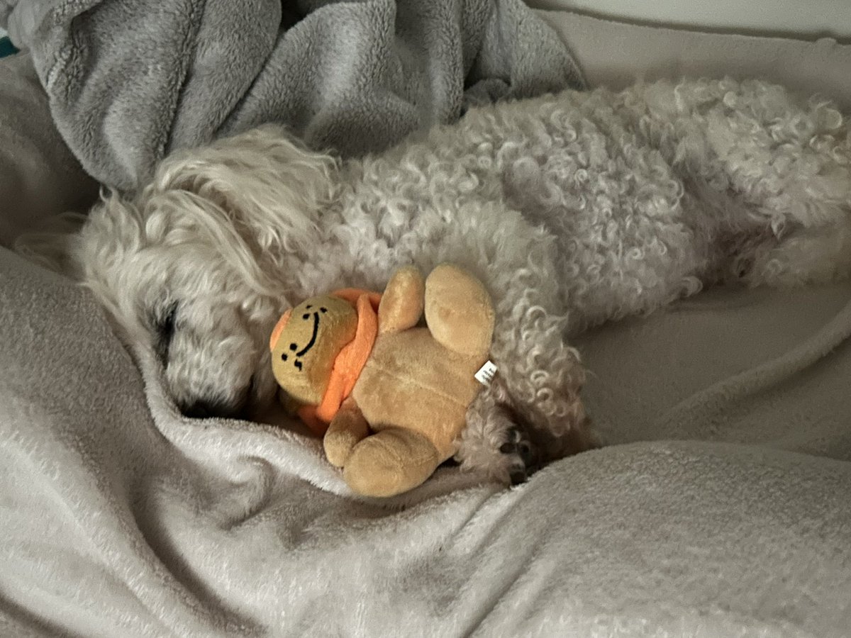 PACK | 📖🕯️| Void Avatar VTuber | HIATUS | tweet media