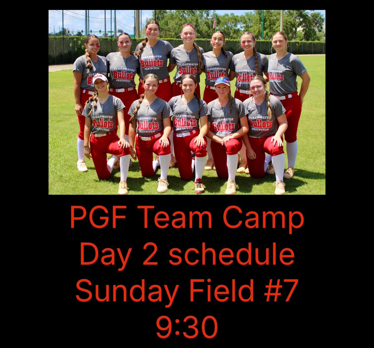 Clearwater Bullets Kermit tweet media