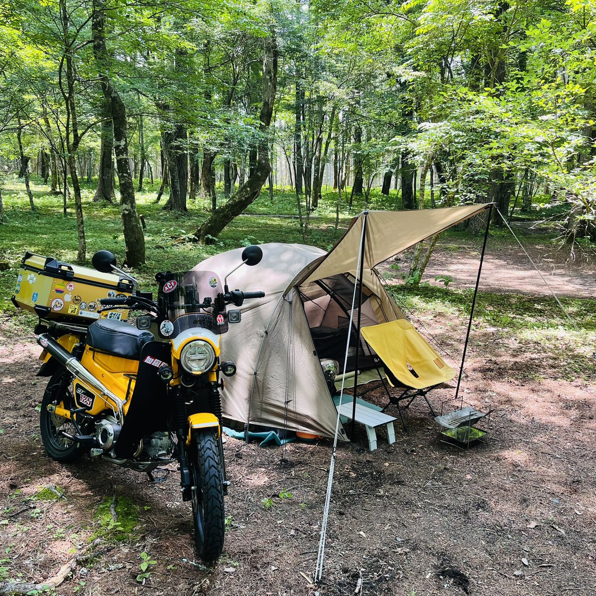 fukuda_tkc's tweet image. とうちゃこー！涼しい、涼しい！
有名な観光地のキャンプ場なのに、今の時点で誰もいない、、、ぼく孤独？うれしいっ＼(^o^)／
クマちゃん遊びに来ないで！
#黄カブ　#ハンターカブ　#ct125 #ソロキャンプ　#フライフィッシング　#SP忠男　#村営山中湖キャンプ場　#忍野