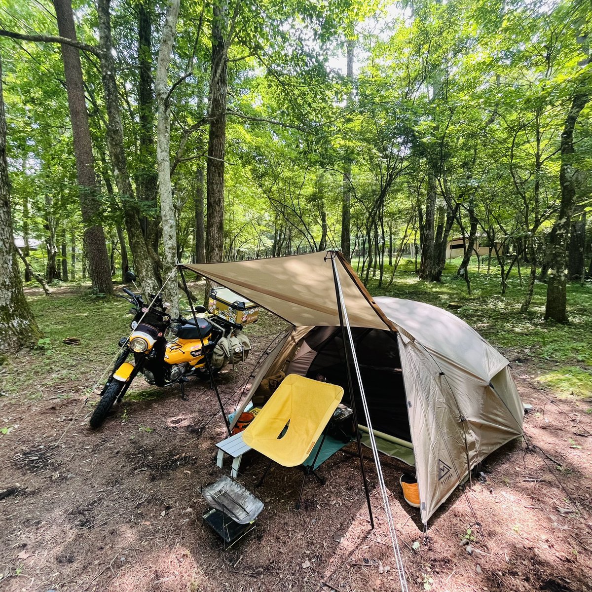 fukuda_tkc's tweet image. とうちゃこー！涼しい、涼しい！
有名な観光地のキャンプ場なのに、今の時点で誰もいない、、、ぼく孤独？うれしいっ＼(^o^)／
クマちゃん遊びに来ないで！
#黄カブ　#ハンターカブ　#ct125 #ソロキャンプ　#フライフィッシング　#SP忠男　#村営山中湖キャンプ場　#忍野