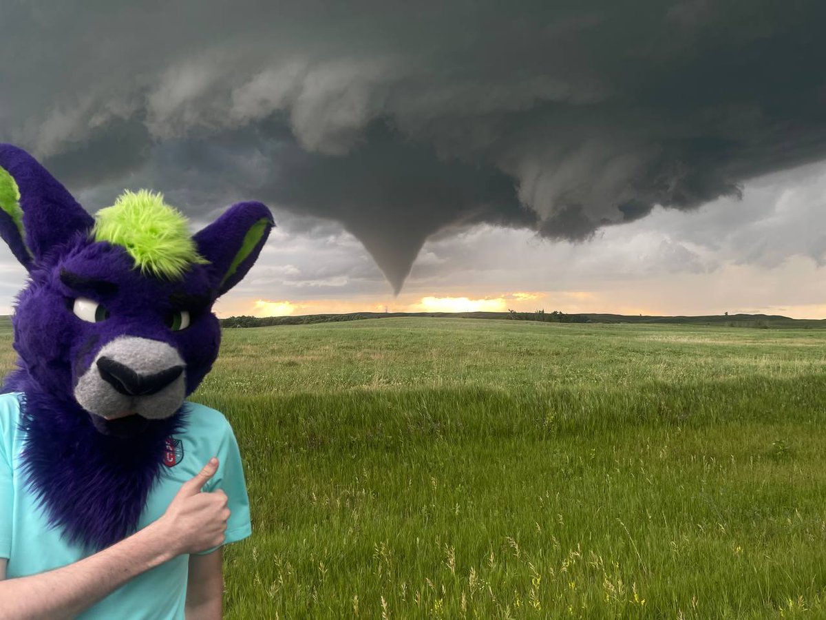 An Eggplant @ ANE tweet media