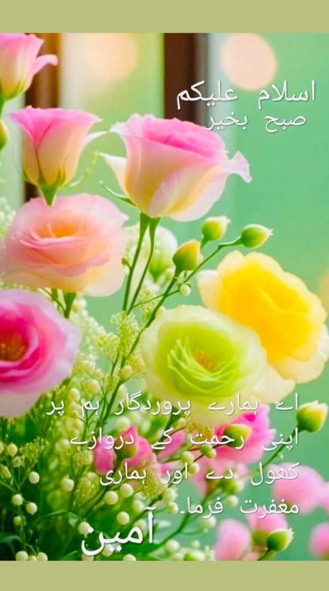 Follow Each other 
<a href="/AliHayder7886/">Dietitian Ali Hayder 🇵🇸</a>
<a href="/adeaih_/">ادعيه</a>
<a href="/SyedaNaqvi50/">Syeda Fatima!</a>
<a href="/soniyahassan256/">Soniya hassan</a>
<a href="/cricitwithrana/">Sargodha Pulse</a>
<a href="/AminChaudhry12/">Amin Chaudhry</a>
<a href="/iamSaharEmami/">Sahar Emami</a>
<a href="/IkObserver804/">804IK</a>
<a href="/Naveed_00Akhtar/">Naveed Akhter</a>
<a href="/ZPTII/">𝕀𝕣𝕗𝕒𝕟 ℤ𝕚𝕒</a>
<a href="/majorirfanakbar/">Irfan Akbar</a>
<a href="/nor_its1/">Irsa Noor</a>
<a href="/SadiaAn23996396/">Sayth Sadia Sumbal Ansari</a>
<a href="/SyedaZahraa72/">سیدہ زہرا</a>
<a href="/syedaanamshazdi/">Syeda Anam Shazadi</a>
<a href="/ZahraShahPTI/">Syeda Zahra</a>
<a href="/hussy/">Hussy Neil</a>
<a href="/AminChaudhry12/">Amin Chaudhry</a> ✨