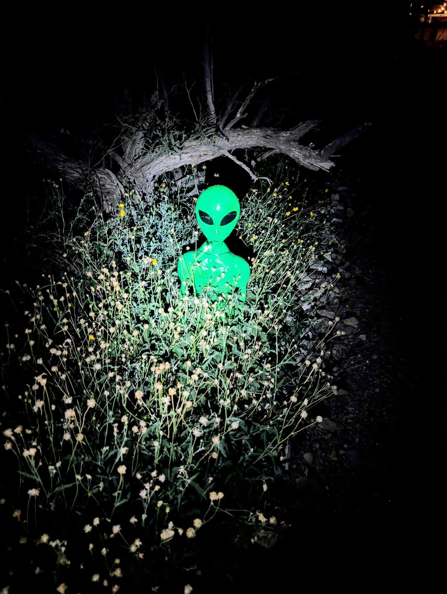 Busted.  Dunno if he's illegal, but he's definitely an alien.