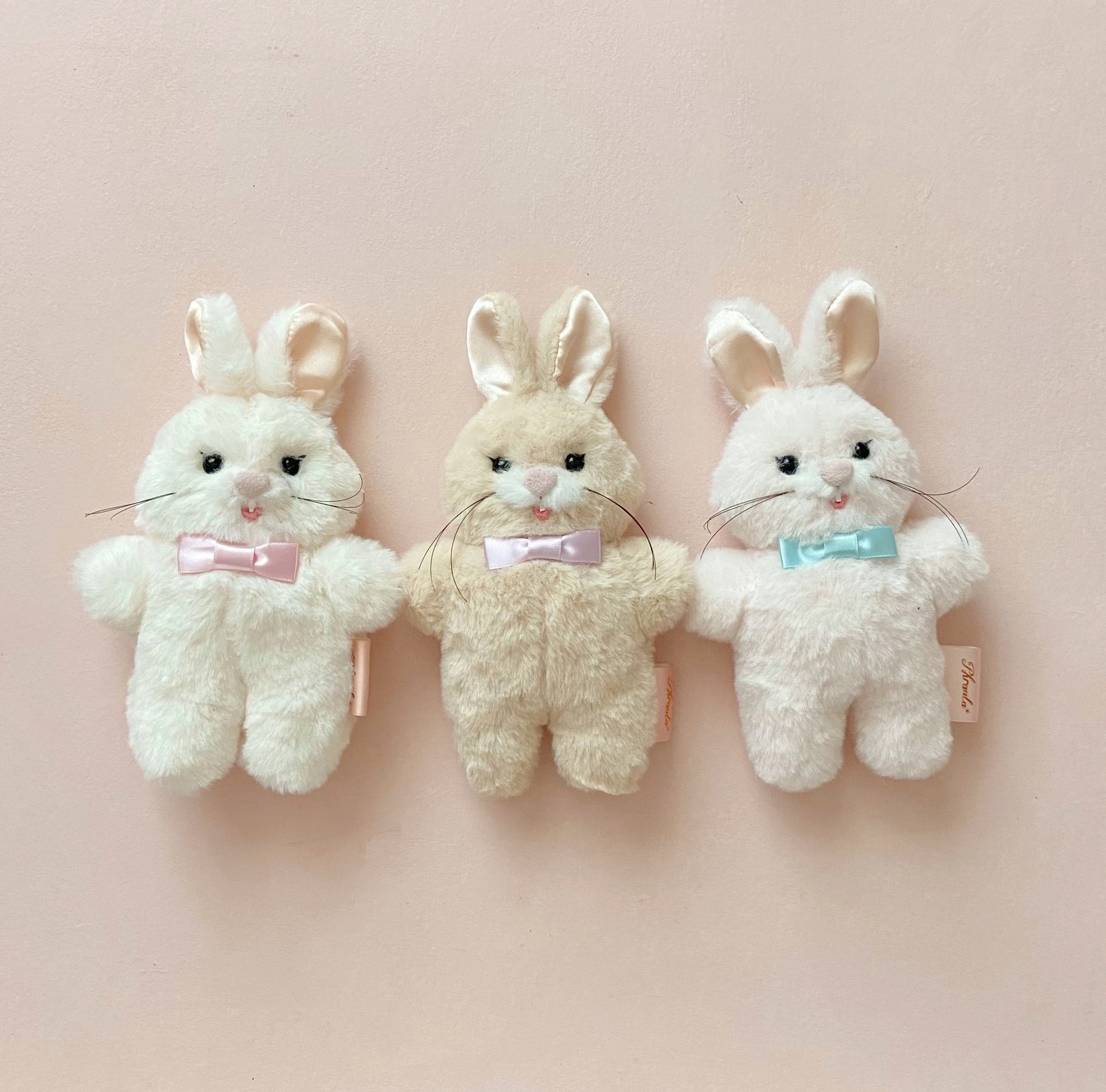𝘈𝘬𝘪 . 𝘗𝘩𝘳𝘢𝘶𝘭𝘢* (@aki_phraula) / X