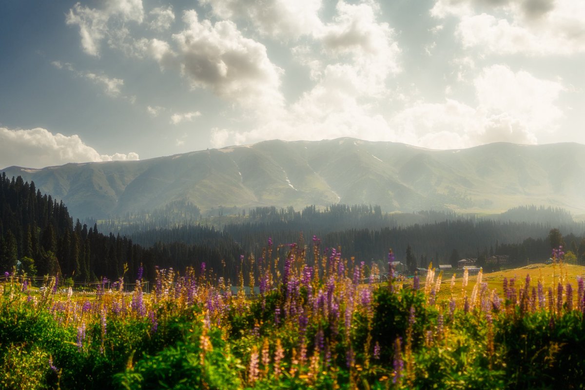 Amulya 📸 tweet media