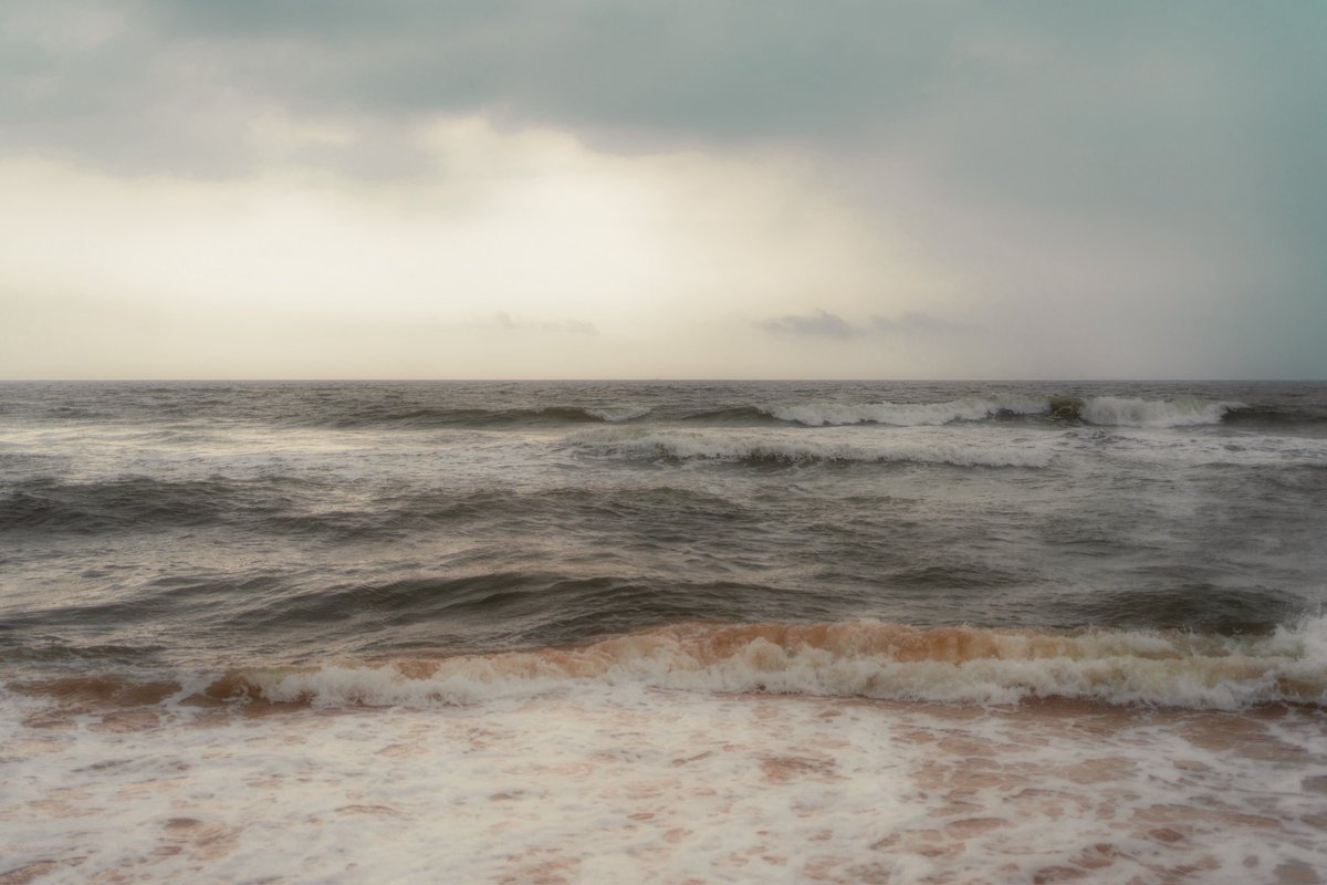 Amulya 📸 tweet media