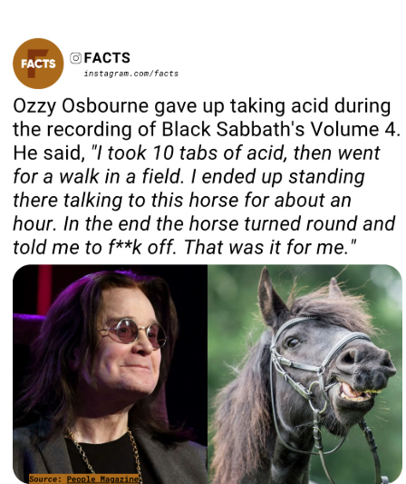 Ozzy Osbourne has revealed that he gave up taking acid in the ’70s after a trip left him chatting to a horse.⁠