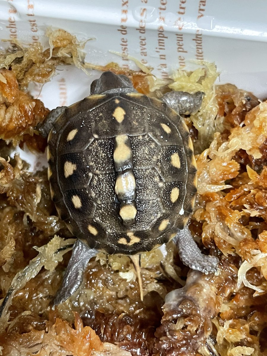 こういうの期待してた