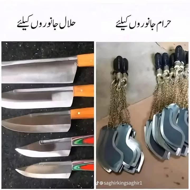 میاں حسن چودھری tweet media