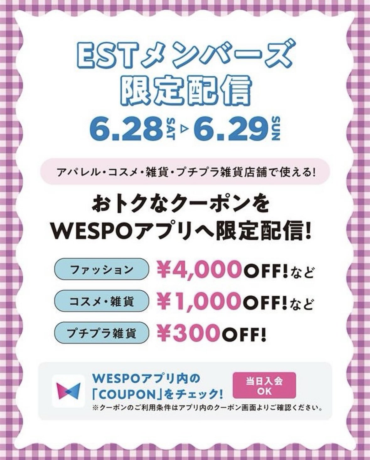 Lisaページ　2点　まとめ売り LIZ LISA على X: 