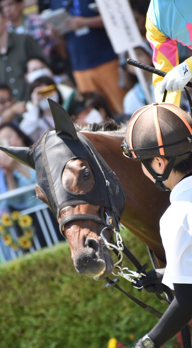 matushi13's tweet photo. ヴィジュイイジャン
デビューおめでとう(^ ^)
小倉5R新馬戦
＃ヴィジュイイジャン https://t.co/0mLXroJ7vo