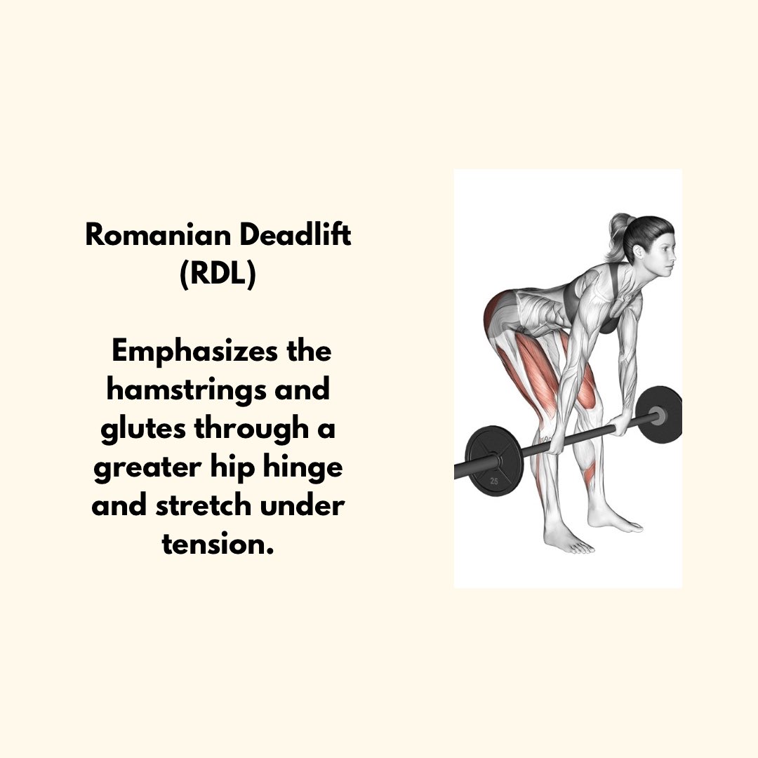 fitzy_ak's tweet photo. Romanian Deadlift vs Conventional Deadlift : Which Builds better hamstrings?

#RomanianDeadlift #ConventionalDeadlift #HamstringTraining #StrengthTraining #Hypertrophy #PosteriorChain #ExerciseScience #LinkedInFitness #SportsPerformance #MuscleGrowth #EvidenceBasedFitness https://t.co/Lymd7yR692