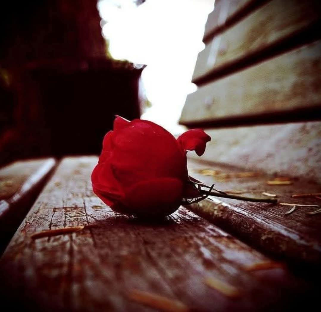 "
Dünyanın neresinde olursan ol.. 
ßulunduğun yerde değil, 
düşündüğün yerdesin......

Seyyid M Berzah Arvasi