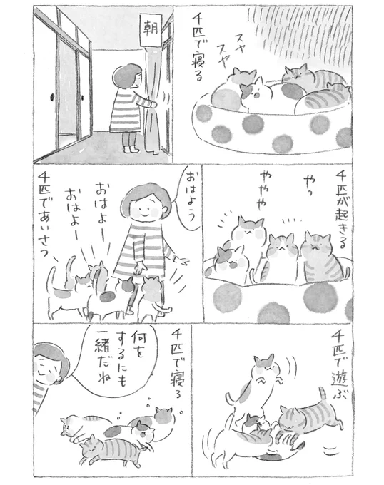 ねこもかぞくから 