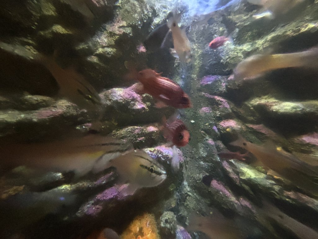 Shulingo_'s tweet photo. 気持ちよかった！
関東の水族館全制覇目指すぞ〜！ https://t.co/rvQyAKYtxK