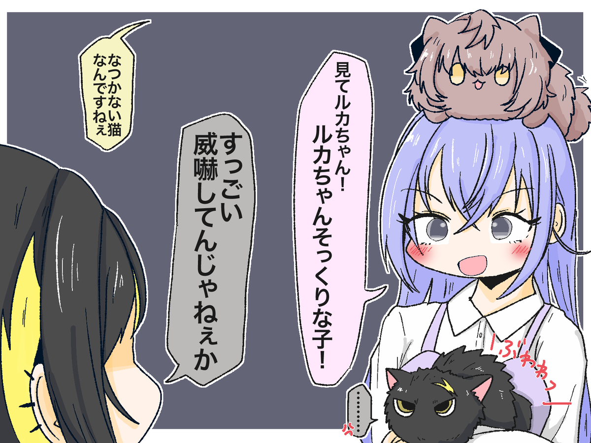 なつかない猫 meets 斑鳩ルカ🐈‍⬛… 