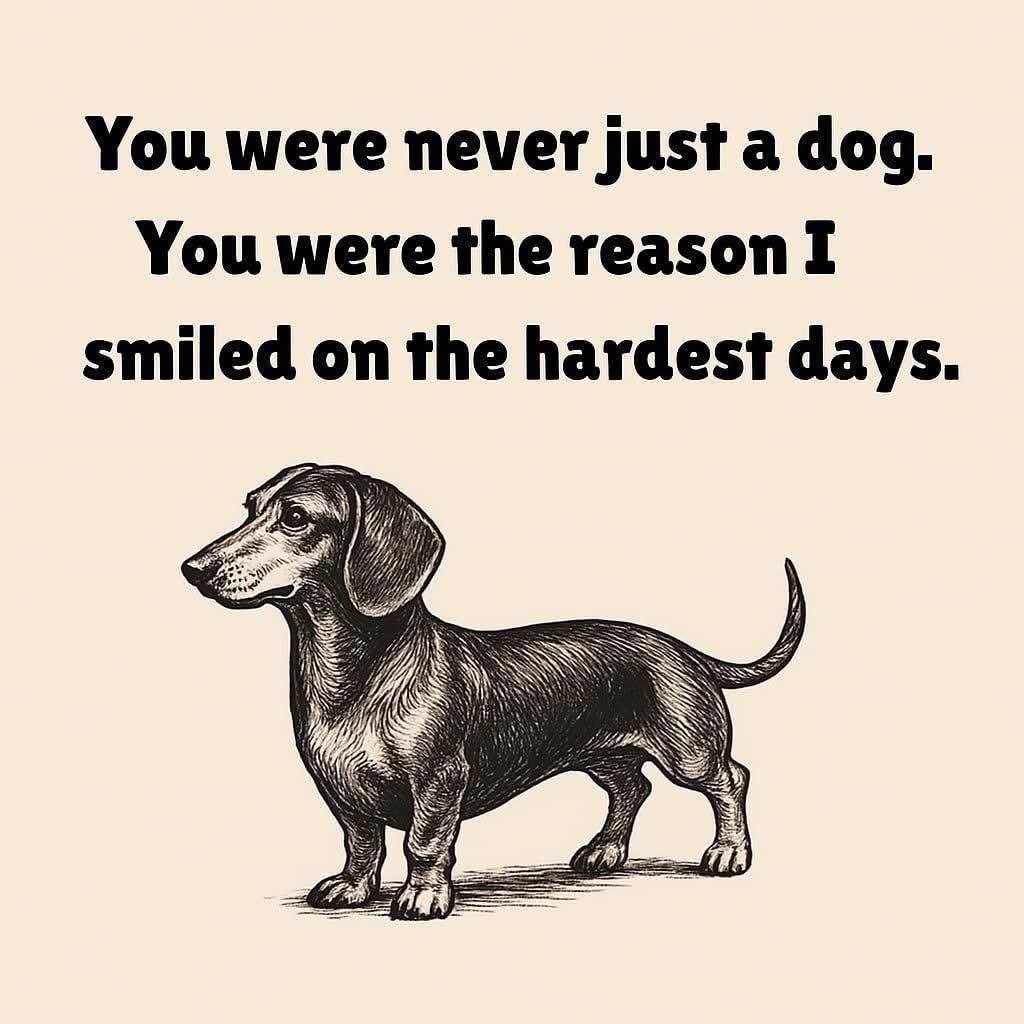 ❤️❤️❤️❤️❤️