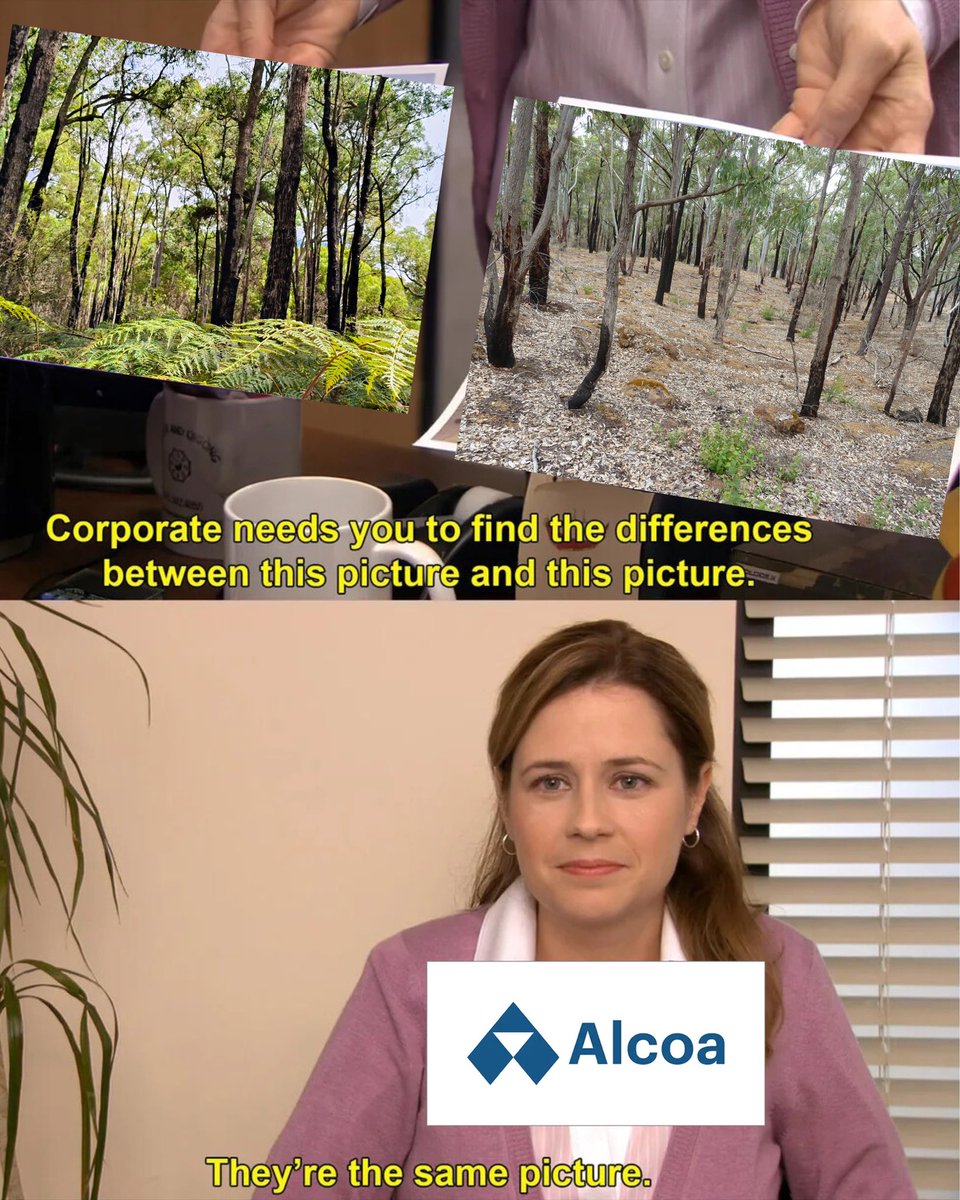 waforests's tweet image. Alcoa hasn’t fully rehabbed a single hectare of forest in the whole time it has mined in the Northern Jarrah forests for one simple reason: it’s not possible. 

#endforestmining#stopalcoa