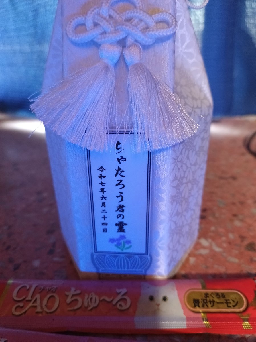 algernon0035's tweet photo. 6月24日永眠 突然でした。少しずつ心の整理していきます。12年間ほんとに癒してくれてありがとう。 https://t.co/Hvr2vcuS4d